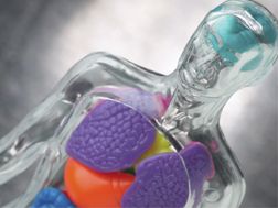 Diseases & Disorders DVDs - Click to enlarge