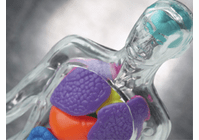 Diseases & Disorders DVDs