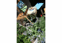 Finding the Right Art Easel