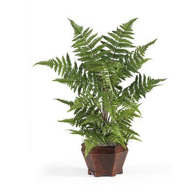 Forest Fern w/Wood Basket