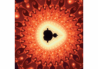 Fractals: The Colors of Infinity  Video  (DVD)