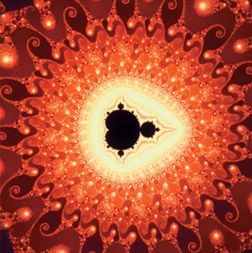 Fractals: The Colors of Infinity  Video  (DVD)