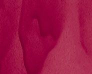 Grumbacher ALIZARIN CRIMSON Watercolor (7.5 ml - .25oz. tube)