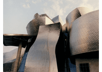 Guggenheim Museum Bilbao  Video  (DVD)