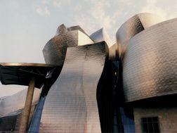 Guggenheim Museum Bilbao  Video  (DVD)