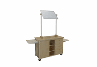 HANN Mobile Demonstration Bench with Mirror