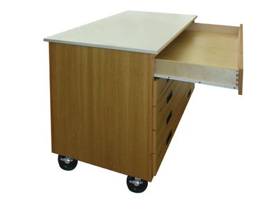 HANN Mobile paper storage cabinet