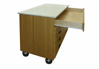 HANN Mobile paper storage cabinet