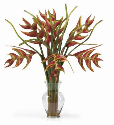 Heliconia Liquid Illusion