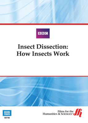 Insect Dissection: How Insects Work (Enhanced DVD)
