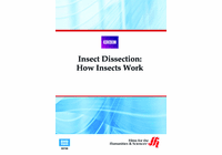 Insect Dissection: How Insects Work (Enhanced DVD)