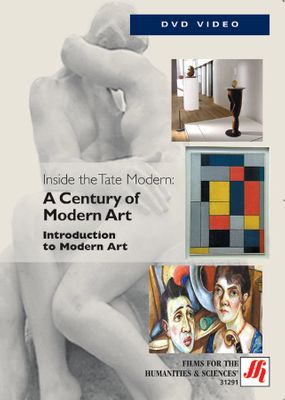 Introduction to Modern Art Video  (DVD)