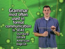 Language & Writing DVDs - Click to enlarge