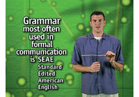 Language & Writing DVDs