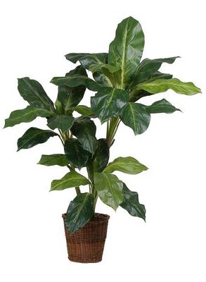 Levin Silk Plant 3'6" - Green