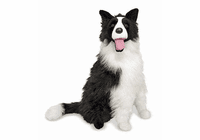 Melissa & Doug Border Collie - Plush