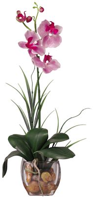 Mini Phalaenopsis Liquid Illusion Silk Orchid Plant - Click to enlarge