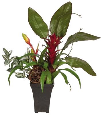 Mixed Tropical Silk Arrangement - Click to enlarge