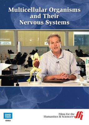 Multicellular Organisms and Their Nervous Systems (Enhanced DVD)