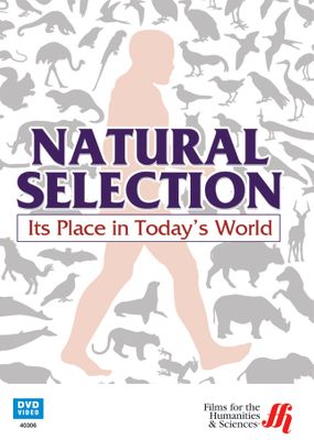 Natural Selection: Its Place in Today's World (Enhanced DVD)