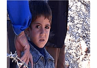News from the Holy Land: Theory and Practice of Reporting Conflict  Video (DVD)