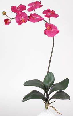 Phalaenopsis Silk Orchid Flower w/Leaves (6 Stems) - Click to enlarge