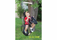 Pony Pal TIRE-SWING