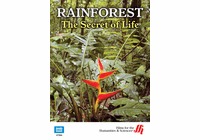 Rain Forest: The Secret of Life (Enhanced DVD)