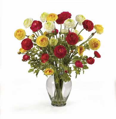 Ranunculus Liquid Illusion - Click to enlarge