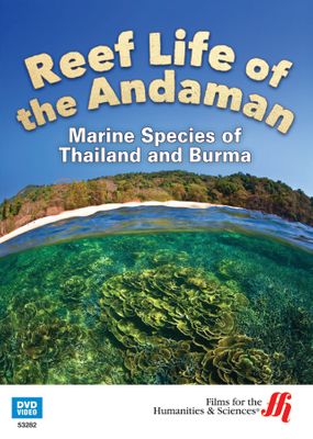Reef Life of the Andaman: Marine Species of Thailand and Burma (Enhanced DVD)