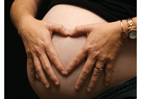 Reproduction & Neonatology DVDs