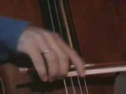 Rhythm Video (DVD)