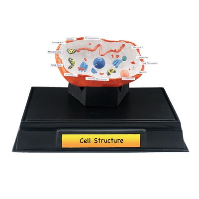 Scene-A-Rama® Cell Structure Classroom Pack - Click to enlarge