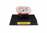 Scene-A-Rama Cell Structure Classroom Pack