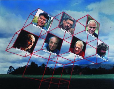 Sculptors at Storm King: Shaping American Art Video (DVD)