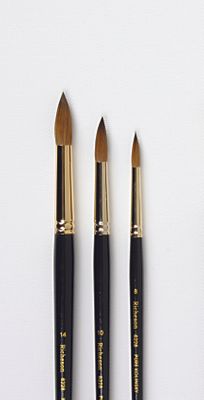SET OF 3 RICHESON SABLE  BRUSHES IN WOODEN BOX - Click to enlarge
