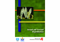 Sexual and Asexual Reproduction (Enhanced DVD)