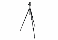 Sienna Tripod