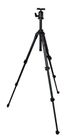 Sienna Tripod