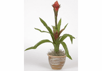 Single Flame Bromeliad Silk Plant - Red
