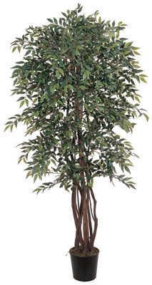 Smilax Silk Tree 6'