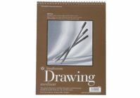 Strathmore 11” x 14” (24 sheets medium 80 lb)