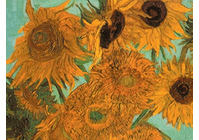 Sunflowers Video (DVD)