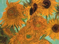Sunflowers Video (DVD)
