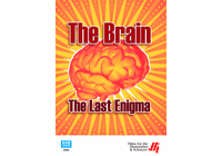 The Brain: The Last Enigma (DVD)
