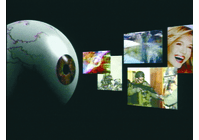 The Language of Photography Video (DVD)