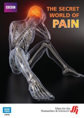 The Secret World of Pain (Enhanced DVD)