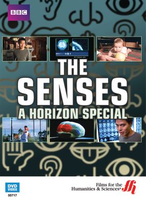 The Senses: A Horizon Guide (Enhanced DVD)