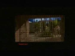 The Technology of Film Video (DVD)