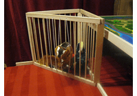 Toy Corral